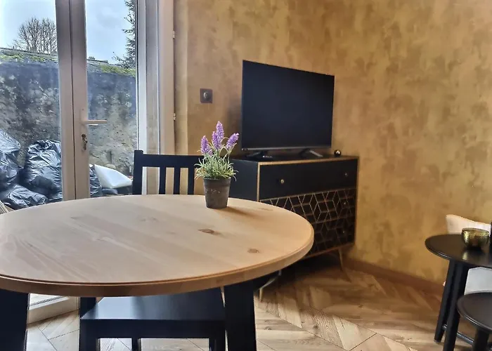 Le Mangin - Studio Avec Terrasse